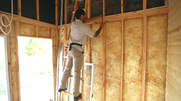 Best Insulation Air Sealing  in Gun Barrel City, TX